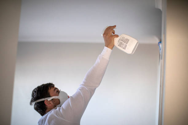 Best Crawl Space Mold Removal  in Amboy, WA