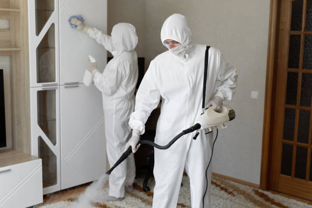 Best Residential Mold Removal  in Amboy, WA
